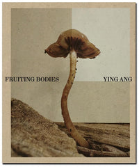 Ying Ang - Fruiting Bodies