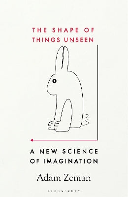 The Shape of Things Unseen: A New Science of Imagination