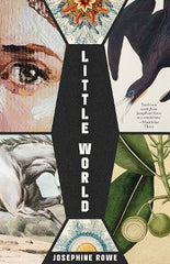 Little World: A Novel