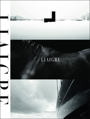 Liaigre: 12 Projects
