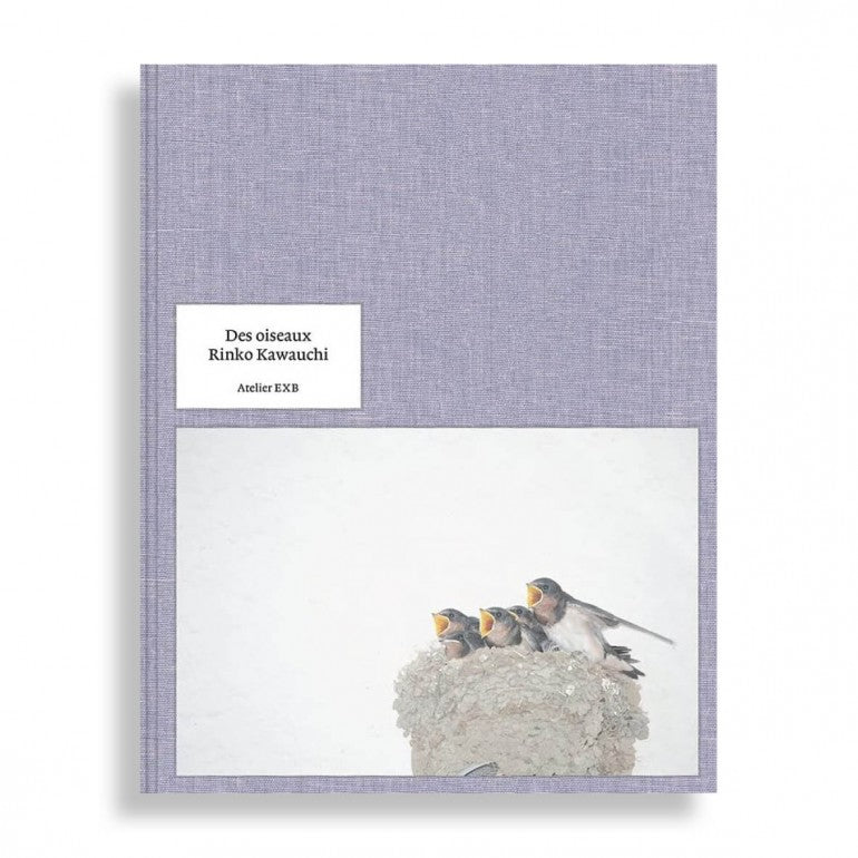 Paddington NSW, Rinko Kawauchi - Des Oiseaux, Art & Design,PHOTOGRAPHY,,Hardback,,,PH,
