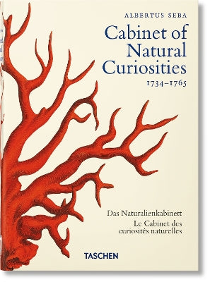 Paddington NSW, Seba. Cabinet of Natural Curiosities. 40th Ed., Art & Design,ART,Irmgard Musch,Hardback,AR
